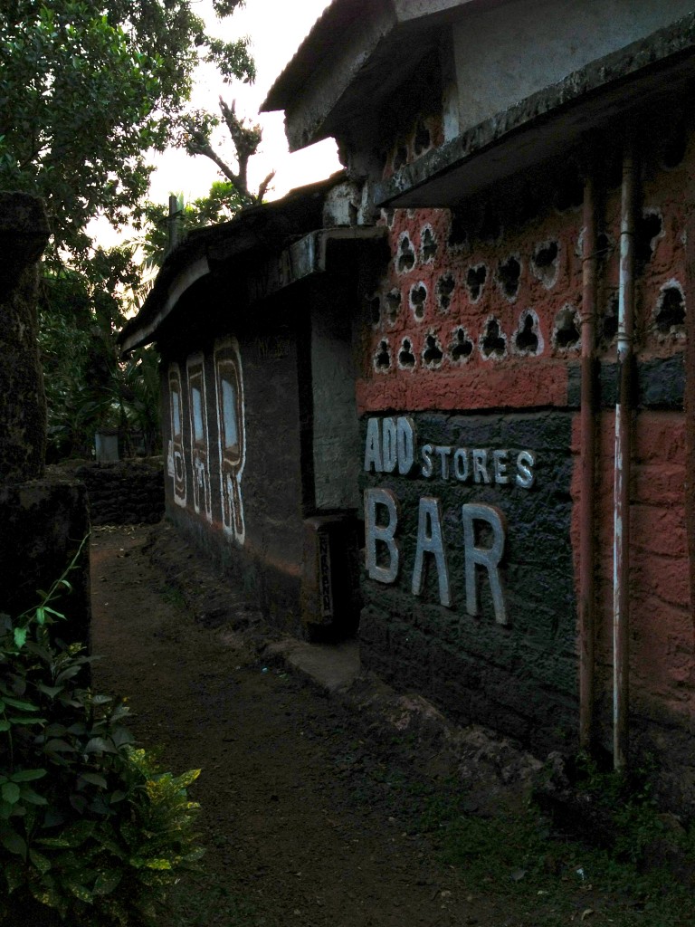 The village had many abandoned houses and this odd back lane bar.