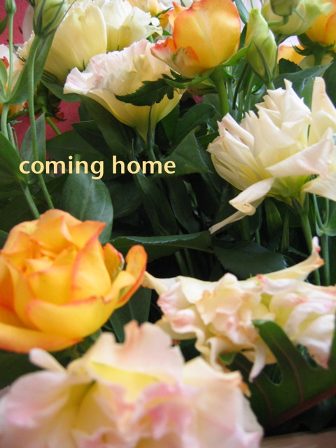 coming home - 1
