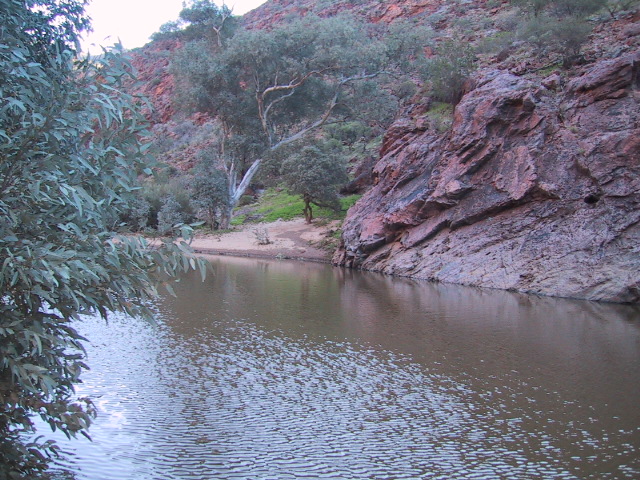 Arkaroola Waterhole1.JPG  (176.7 Kb)