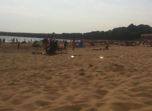 Look at you, Welsh beach. You did good, kid. 